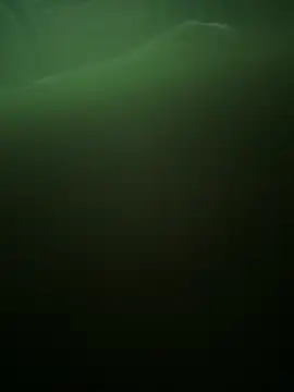 Snapshot of Apollonios5 chatting on 04.11.26 Apollonios5 online show from 04.11.26