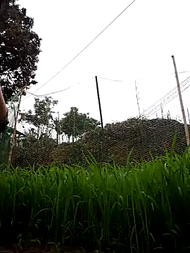 nhynhy11 online show from 03.21.26