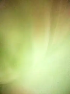 Snapshot of BIG_QWEEN_NO1 chatting on 02.20.26 BIG QWEEN NO1 online show from 02.20.26