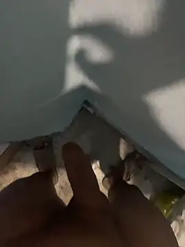 tardecaliente online show from 02.26.26