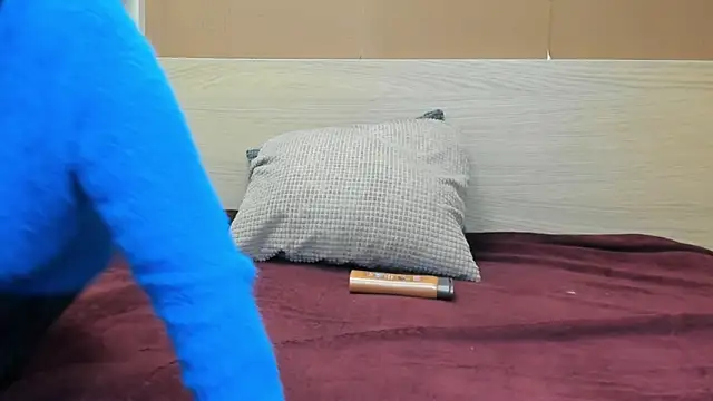 Snapshot of PinkyTwerkyX chatting on 11.20.25 PinkyTwerkyX online show from 11.20.25