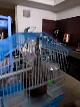 sexysilmy online show from 02.25.26