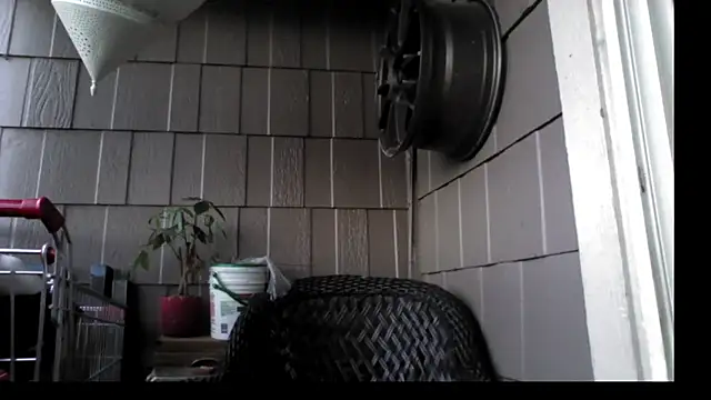 banans78 online show from 07.10.26
