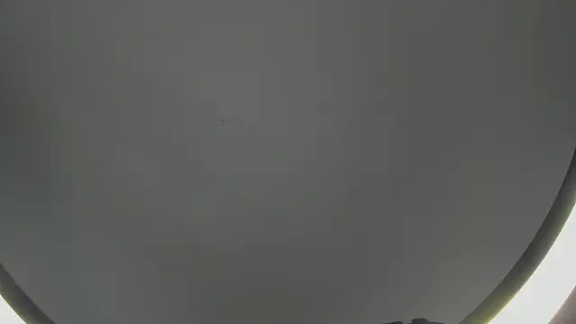 SinLickerr online show from 02.18.26