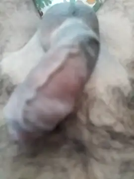 Love Sabby 700 online show from 04.28.26