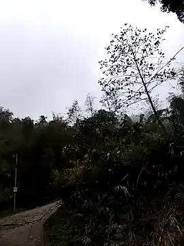 lovely-742 online show from 03.24.26