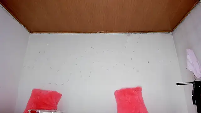 karol kane online show from 02.13.26