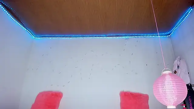 karol kane online show from 02.22.26