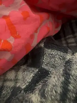 Snapshot of gbox123 chatting on 02.11.26 gbox123 online show from 02.11.26