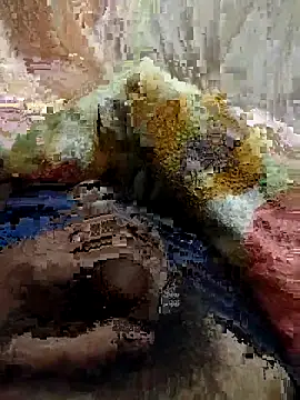 soni8850 online show from 02.15.26