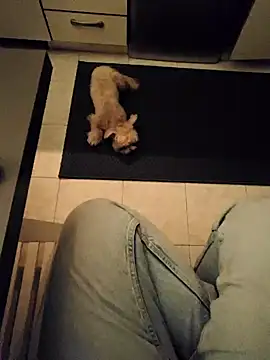 Snapshot of Ginevra01 chatting on 03.09.26 Ginevra01 online show from 03.09.26