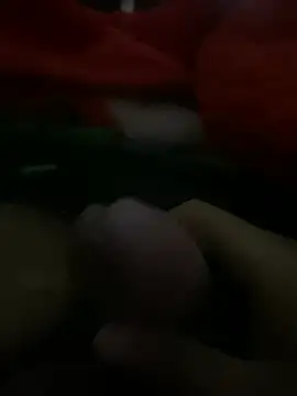 Snapshot of raid019 chatting on 02.14.26 raid019 online show from 02.14.26