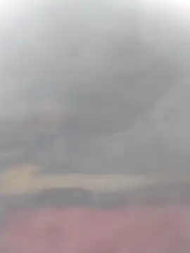 Snapshot of cobrosdepagos chatting on 03.14.26 cobrosdepagos online show from 03.14.26