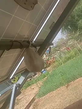 Snapshot of mastmalai chatting on 03.17.26 mastmalai online show from 03.17.26