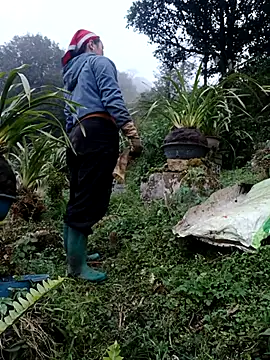 nelina 12345 online show from 02.13.26