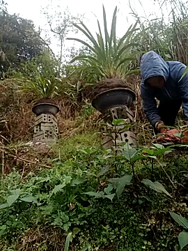 nelina 12345 online show from 02.15.26