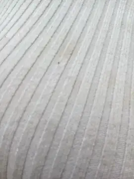 Snapshot of chaoanh11 chatting on 02.15.26 chaoanh11 online show from 02.15.26