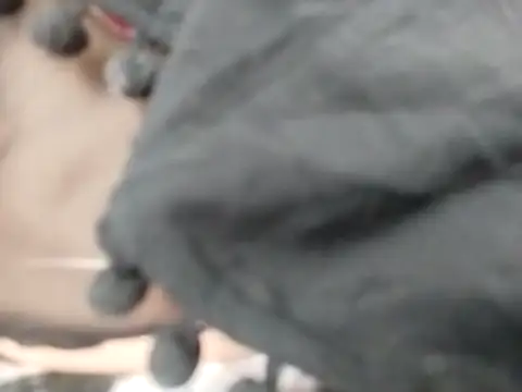 Snapshot of VeraVS chatting on 02.20.26 VeraVS online show from 02.20.26