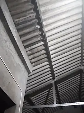 Baby flower 1 online show from 03.17.26