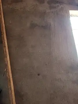 mollyboydick online show from 03.08.26