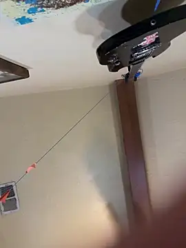 Link and Saria online show from 03.01.26