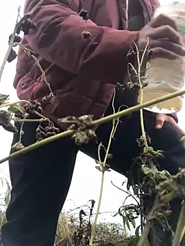 Snapshot of Nth5h chatting on 03.11.26 Nth5h online show from 03.11.26