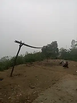 Snapshot of Nth5h chatting on 03.30.26 Nth5h online show from 03.30.26