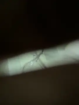 Snapshot of neekosam12 chatting on 03.23.26 neekosam12 online show from 03.23.26