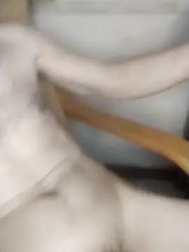 AndrewXSkyp online show from 03.17.26