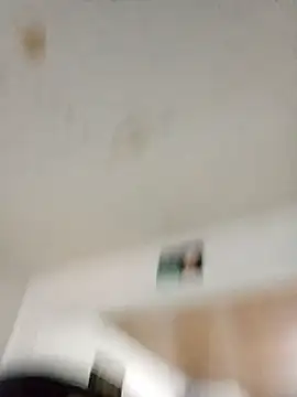 MgSL0 online show from 03.12.26