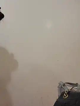 Dautay-mup online show from 03.04.26