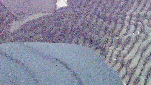 Snapshot of elong007 chatting on 04.01.26 elong007 online show from 04.01.26