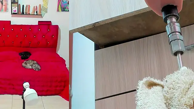 bella  funny online show from 05.13.26