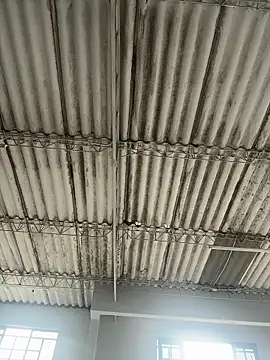 soribakerr online show from 03.25.26