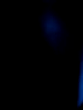 Snapshot of AppleMiel chatting on 03.08.26 AppleMiel online show from 03.08.26