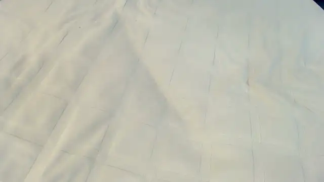 Ass Lovss online show from 05.23.26