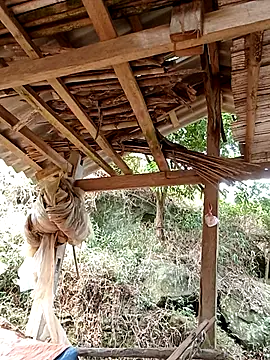 elen8800 online show from 04.14.26