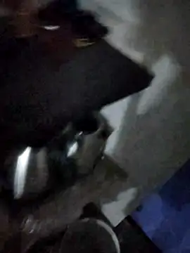 magicmovemen online show from 03.03.26