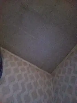 DiamondDaisy online show from 05.05.26