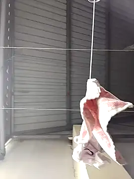 Jinnie sexy online show from 03.07.26