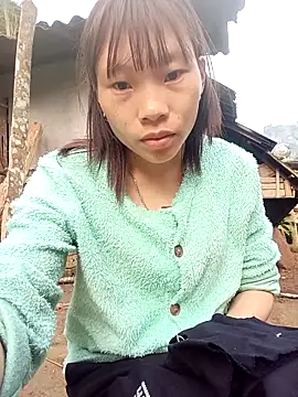 pic8800 online show from 03.03.26