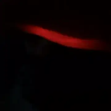 yaocaobi8 online show from 03.19.26