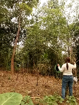 lyly sexx online show from 03.28.26