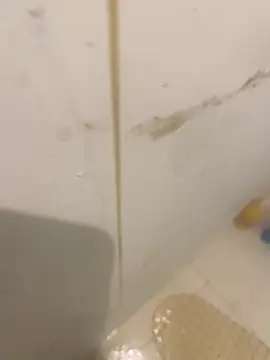 bichalouca online show from 03.31.26