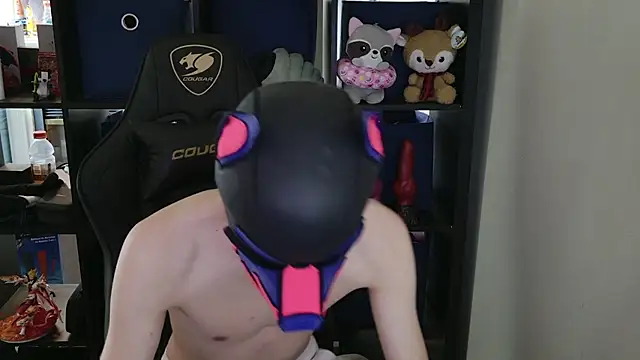 MellPUP online show from 04.22.26