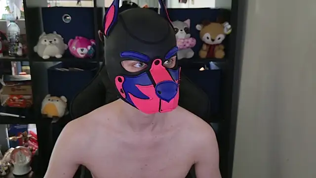 MellPUP online show from 04.30.26