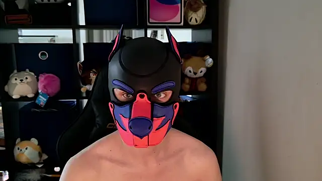 MellPUP online show from 05.12.26
