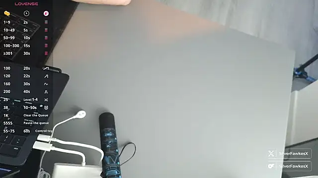 Snapshot of silverfawkesx chatting on 03.02.26 silverfawkesx online show from 03.02.26