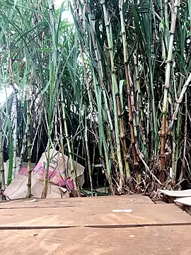 Tini-mimi online show from 04.23.26