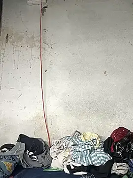 Delhi Patola online show from 04.18.26